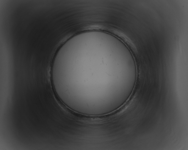 X0000101161233200806270725