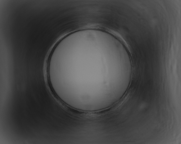 X0000101161235200806270725