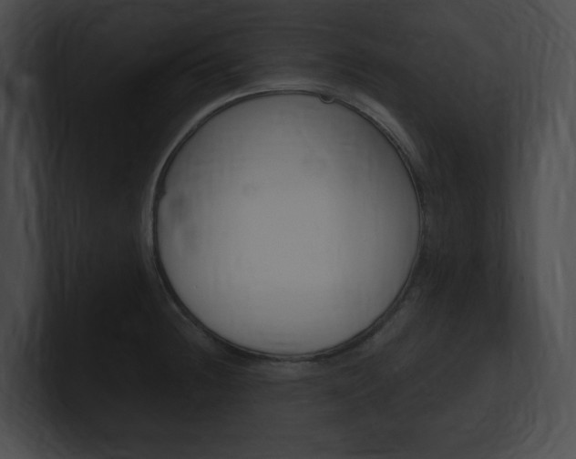 X0000101161236200806270725