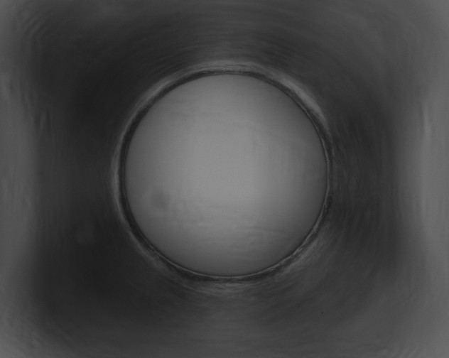 X0000101161237200806270725