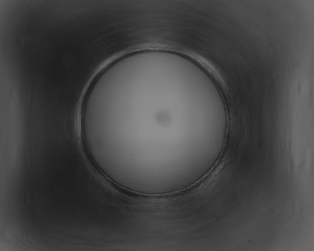 X0000101161238200806270725