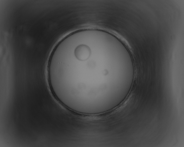 X0000101161239200806270725