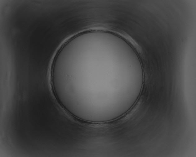 X0000101161240200806270725