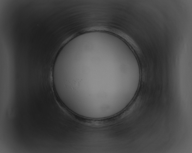 X0000101161241200806270725