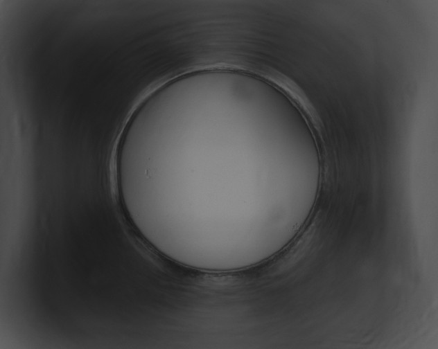 X0000101161242200806270725