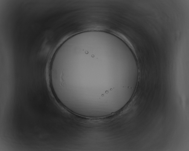 X0000101161243200806270725