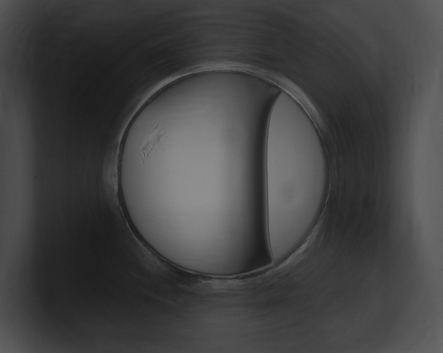 X0000101161244200806270726