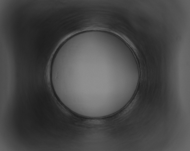 X0000101161246200806270726
