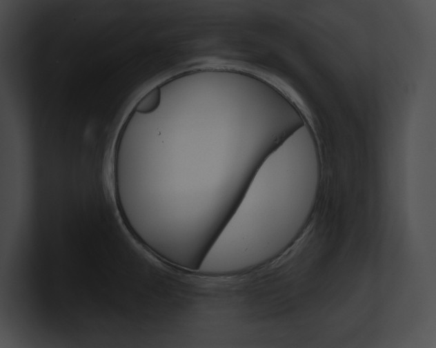 X0000101161247200806270726