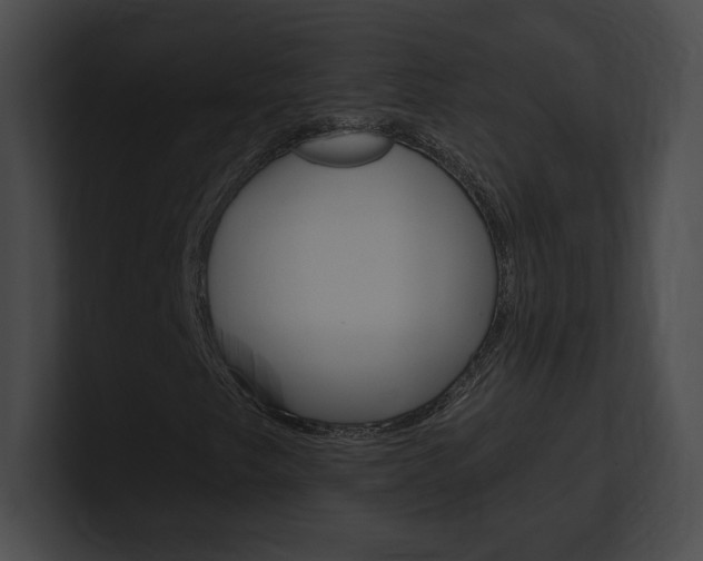 X0000101161249200806270725
