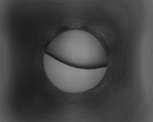 X0000101161250200806270725
