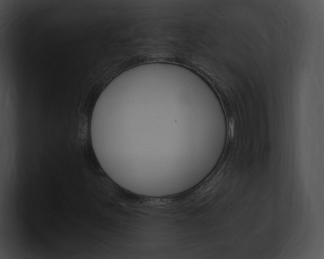 X0000101161251200806270725