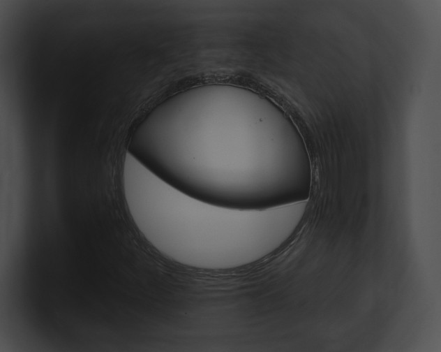 X0000101161252200806270725