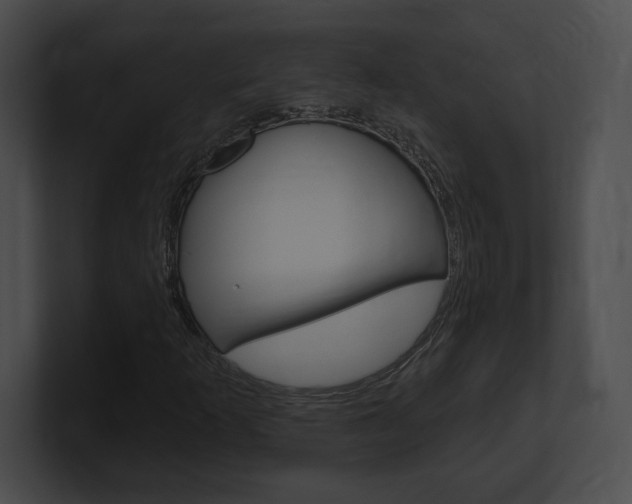 X0000101161253200806270725