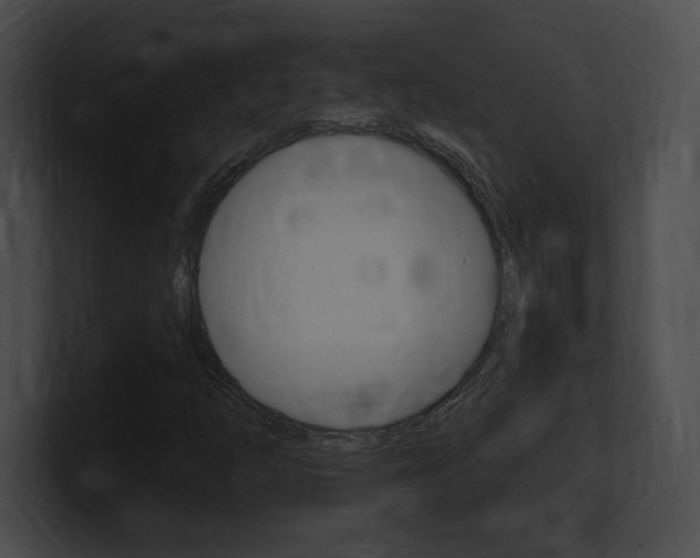 X0000101161254200806270725
