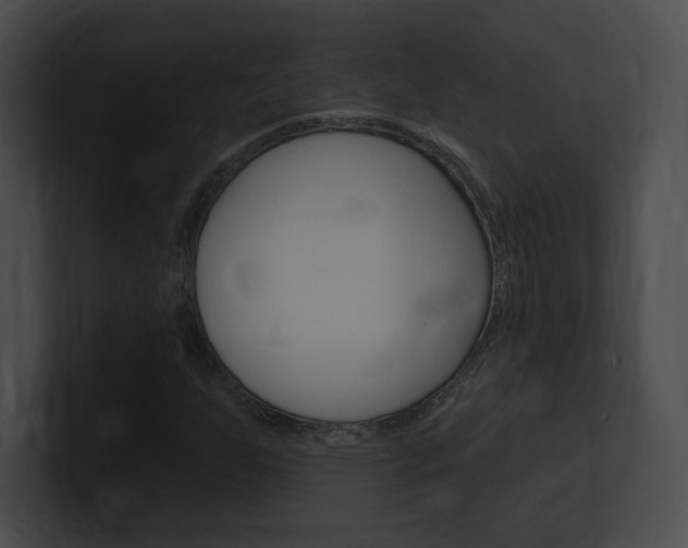 X0000101161255200806270725