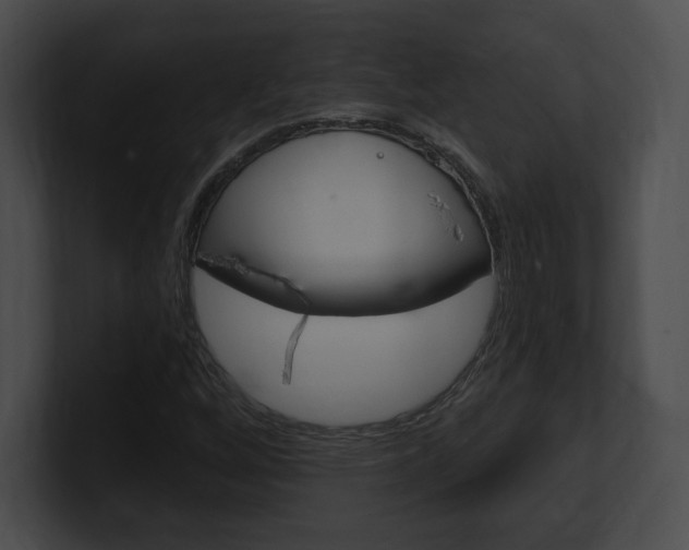 X0000101161256200806270725
