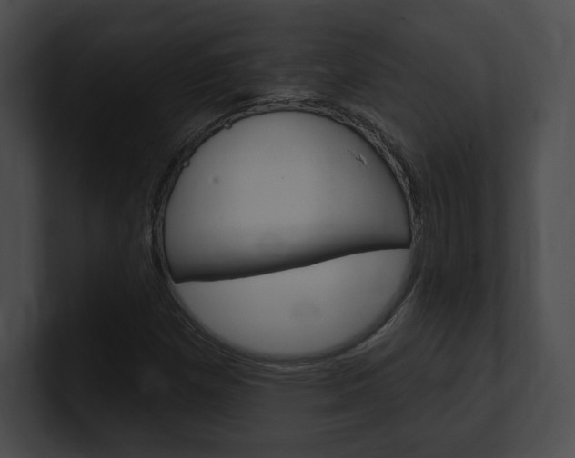 X0000101161257200806270725