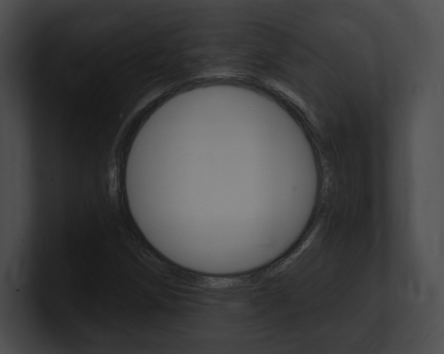 X0000101161258200806270725
