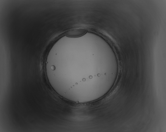 X0000101161259200806270725