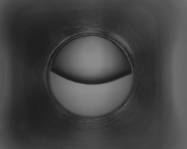 X0000101161260200806270725