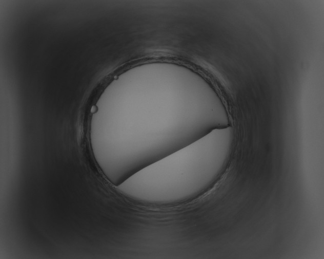 X0000101161261200806270725