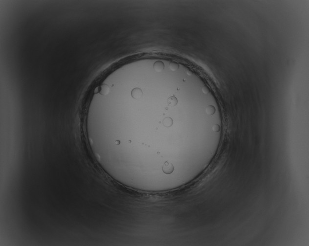 X0000101161263200806270725