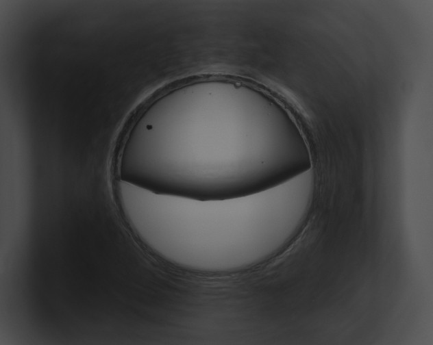 X0000101161264200806270725