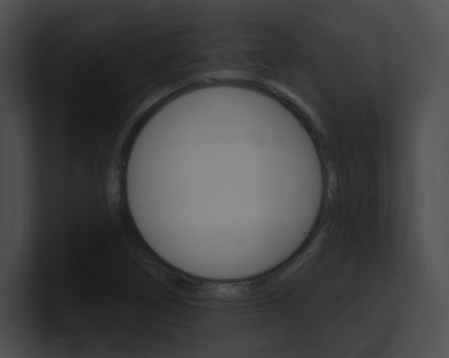 X0000101161266200806270725