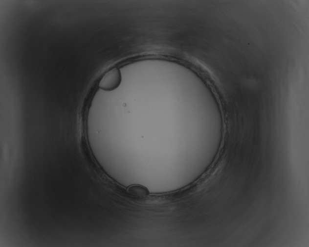 X0000101161267200806270725