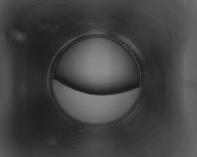 X0000101161268200806270725