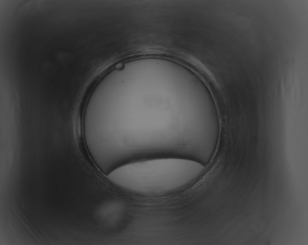 X0000101161269200806270725