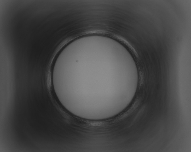 X0000101161274200806270725