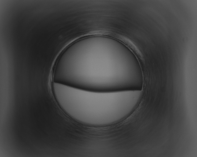 X0000101161276200806270725