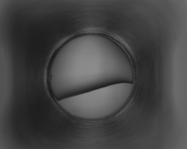 X0000101161277200806270725
