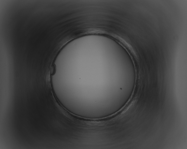 X0000101161281200806270724