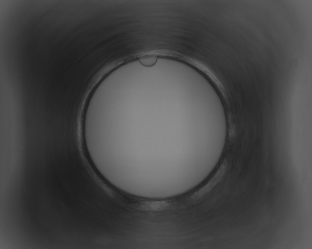 X0000101161282200806270724