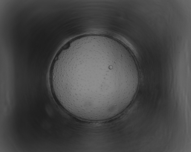 X0000101161283200806270724