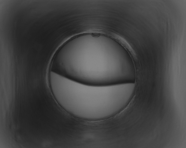 X0000101161284200806270724
