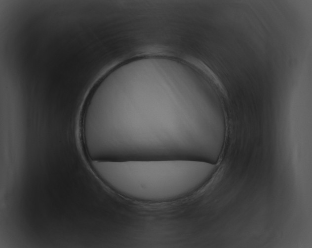 X0000101161285200806270724