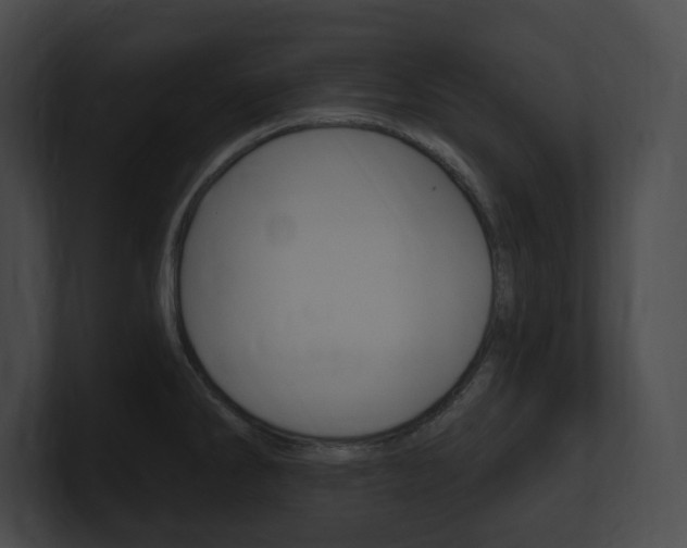 X0000101161286200806270724