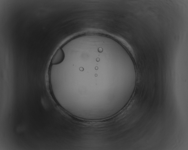 X0000101161287200806270724