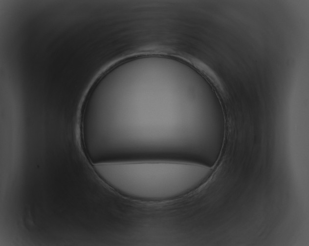 X0000101161288200806270724