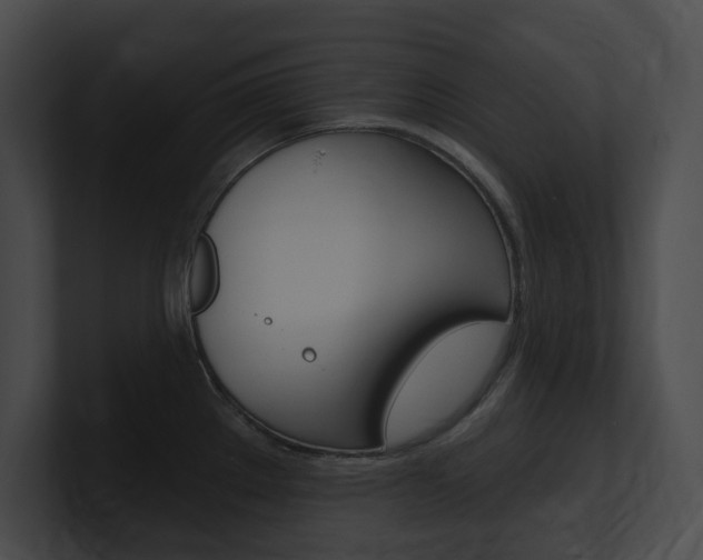 X0000101161289200806270724