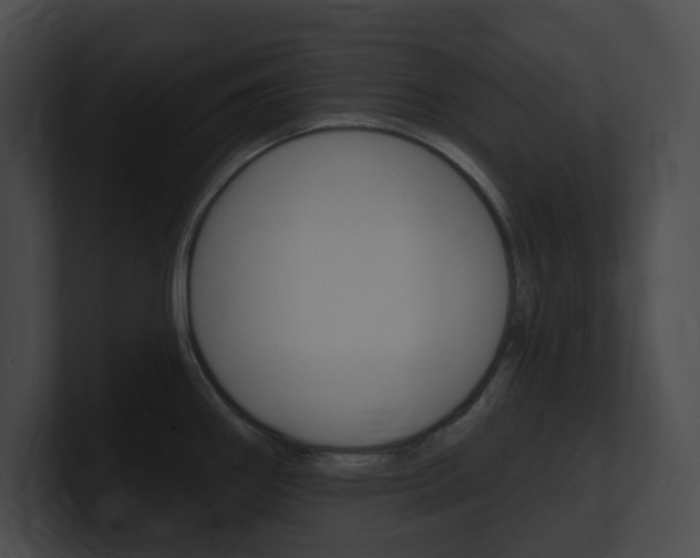 X0000101161290200806270724