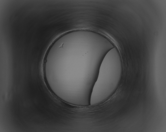 X0000101161291200806270724
