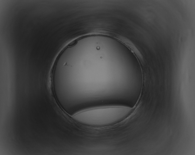 X0000101161292200806270724
