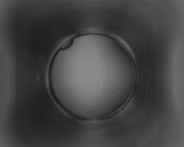 X0000101161293200806270724