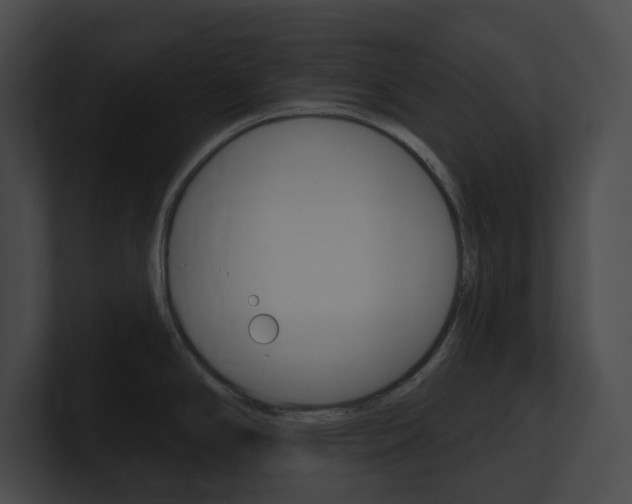 X0000101161294200806270724