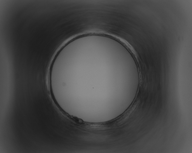 X0000101161295200806270724